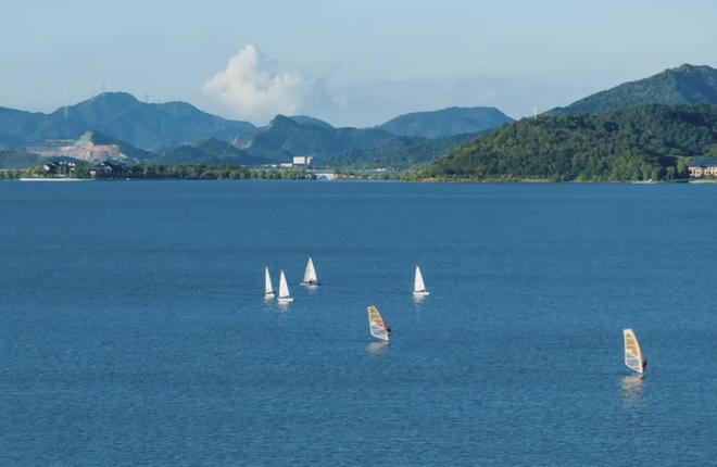 吃播挑战极限：吞下两斤纯肥肉背后的引流与风险